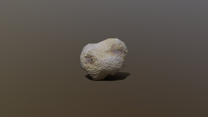 Rock 3D Model