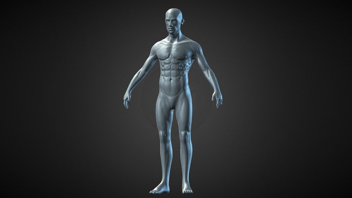 Male base mesh with muscle detail 3D Model