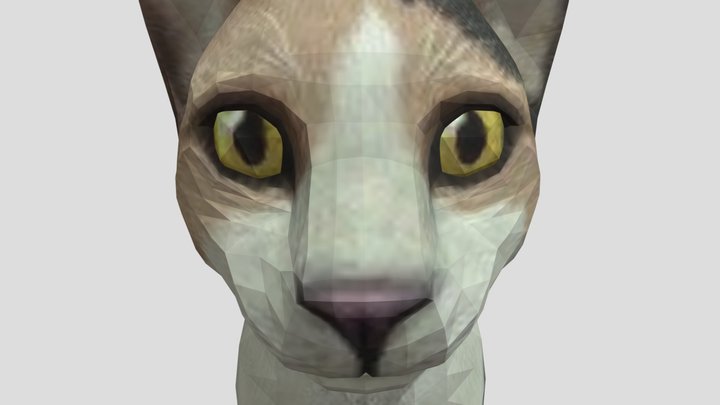 Кот лол :D 3D Model