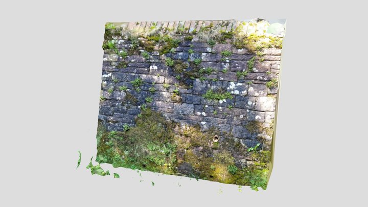 Cumbria Wall overgrown 1 3D Model