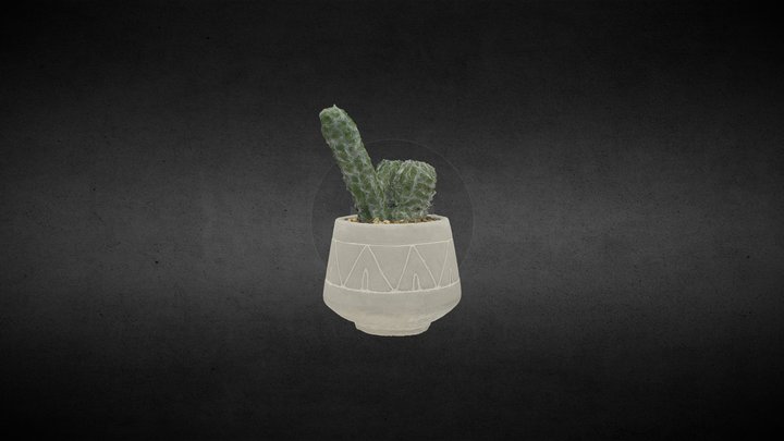 Maceta con cactus 3D Model