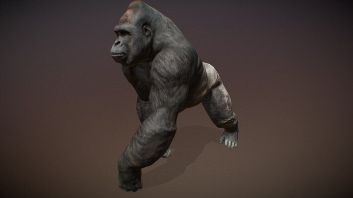 Animalia - Gorilla (male) 3D Model