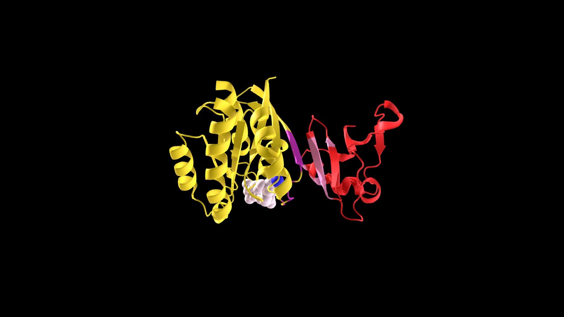 Analysis Of Rap1A & Raf RBD Interaction