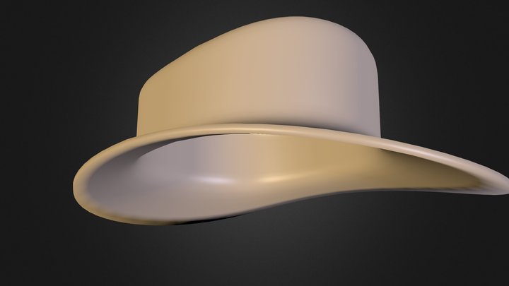 Hat 3D Model