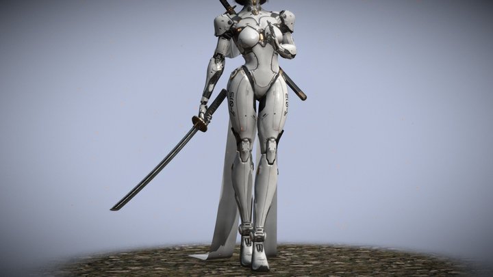 Cyborg Assassin 3D Model