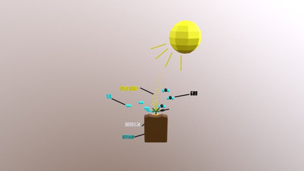 Photosynthesis 3d Model By Minecrafter5 Minecrafter5 2457e3c