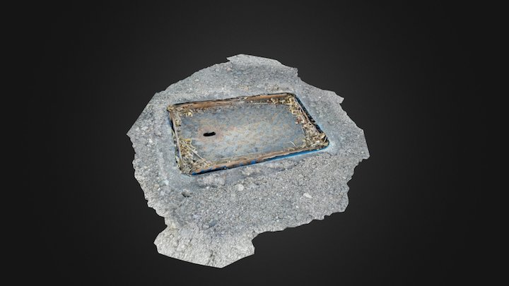 Water Meter Cover 3D Model