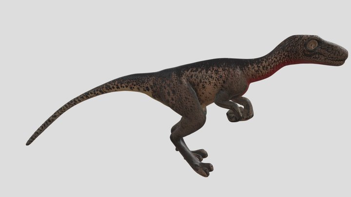 Troodon