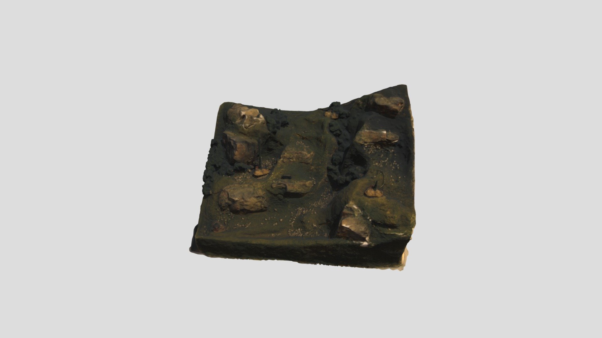 Landscape 1