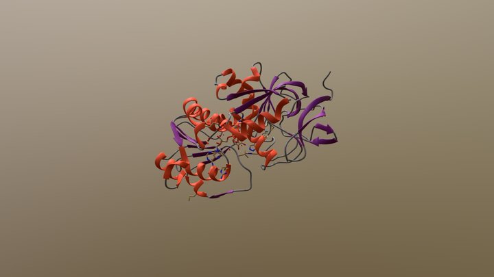 Alcohol dehydrogenase monomer 3D Model