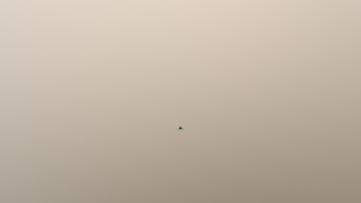 Bug 3D Model