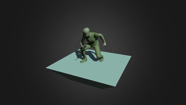Assassin Animations 3D Model