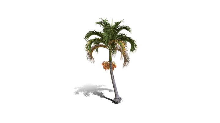Realistic HD Christmas palm (13/35) 3D Model