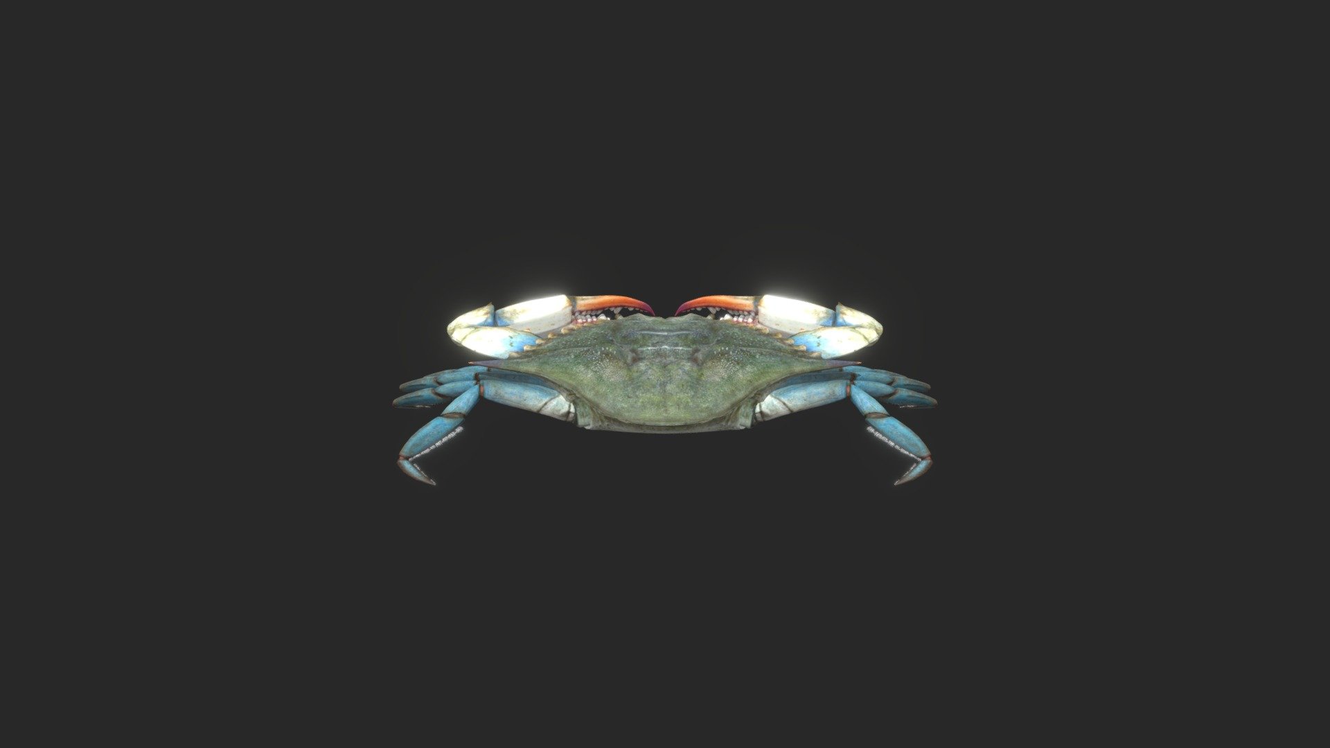 Crab_symmetry - 3D model by anishkeni3dvfx [2469bc6] - Sketchfab