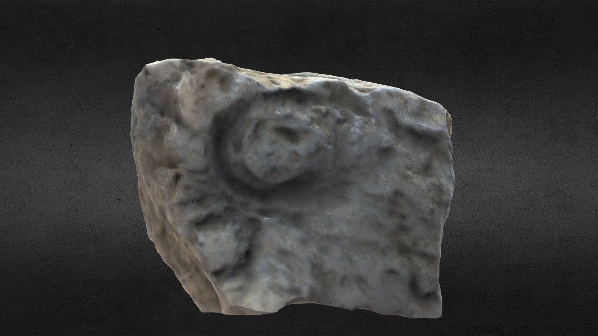 Fossil Low Poly