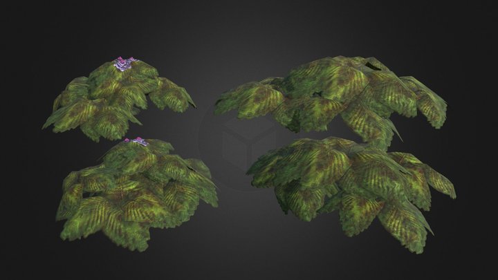 Swamp Fern (Green) – Kostenloses 3D-Modell STL