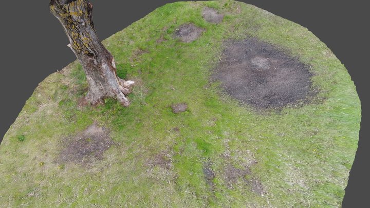Tree_001 – Modello 3D gratuito STL