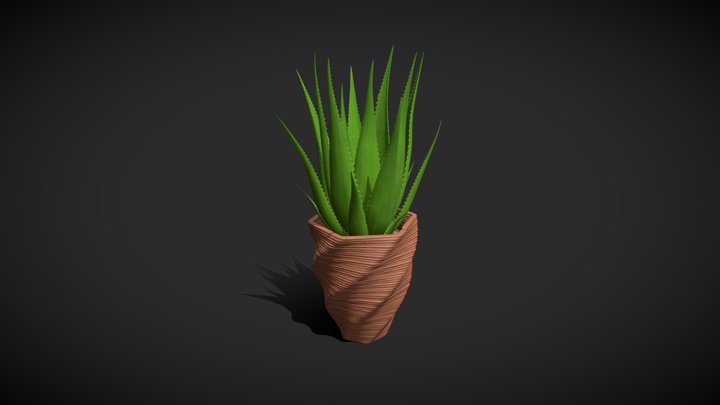 Aloe Vera plant in 3d printed pot 3D Model