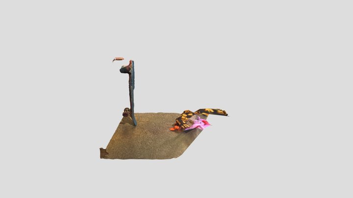 Skateboard Object 3D Model