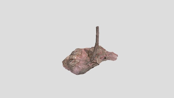 Tree On Rocky Ground Pbr Scan – Gratis 3D-model STL