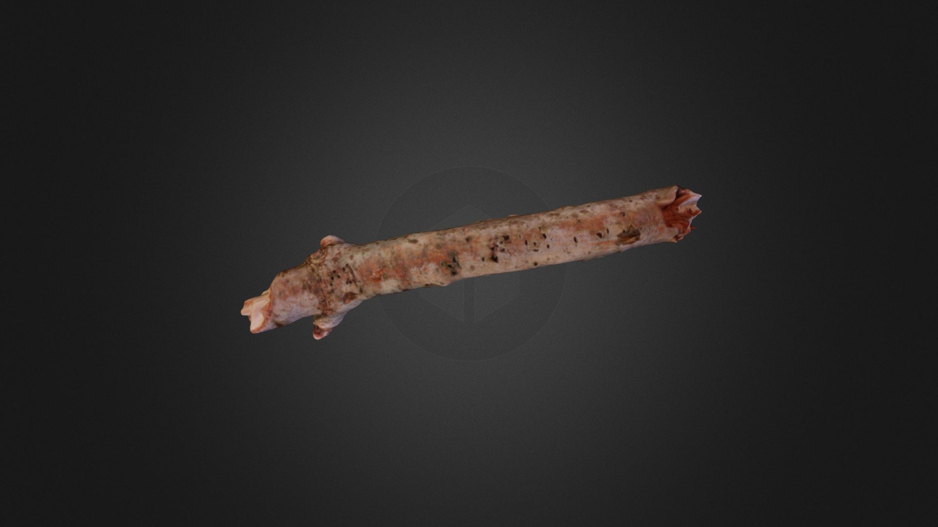 Branch