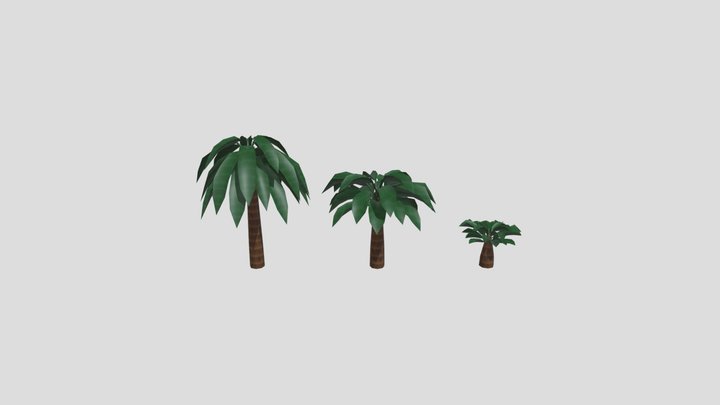 Palmeira 3D Model