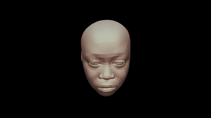 Re-topologize_Face 3D Model