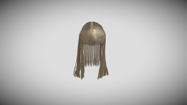 Hair v5 3D Model