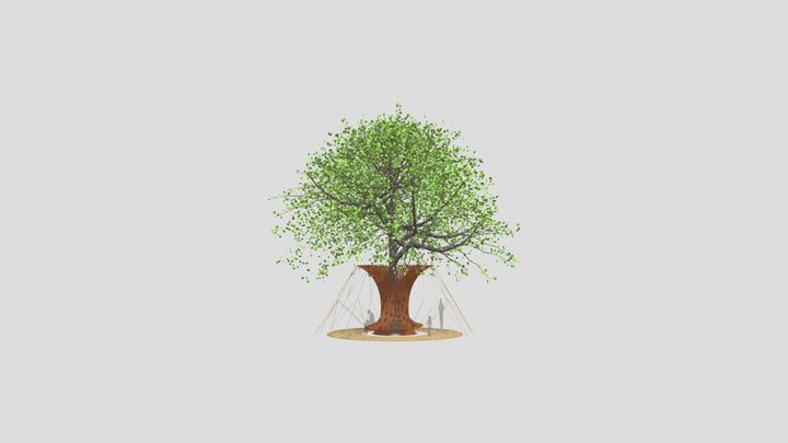 Tree-angulation 3D Model
