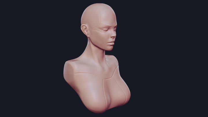 Female Head Sculpt 02 | 3D model