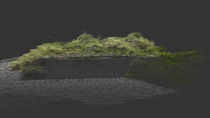 Bush with Sculpture Point Cloud (dense) 3D Model