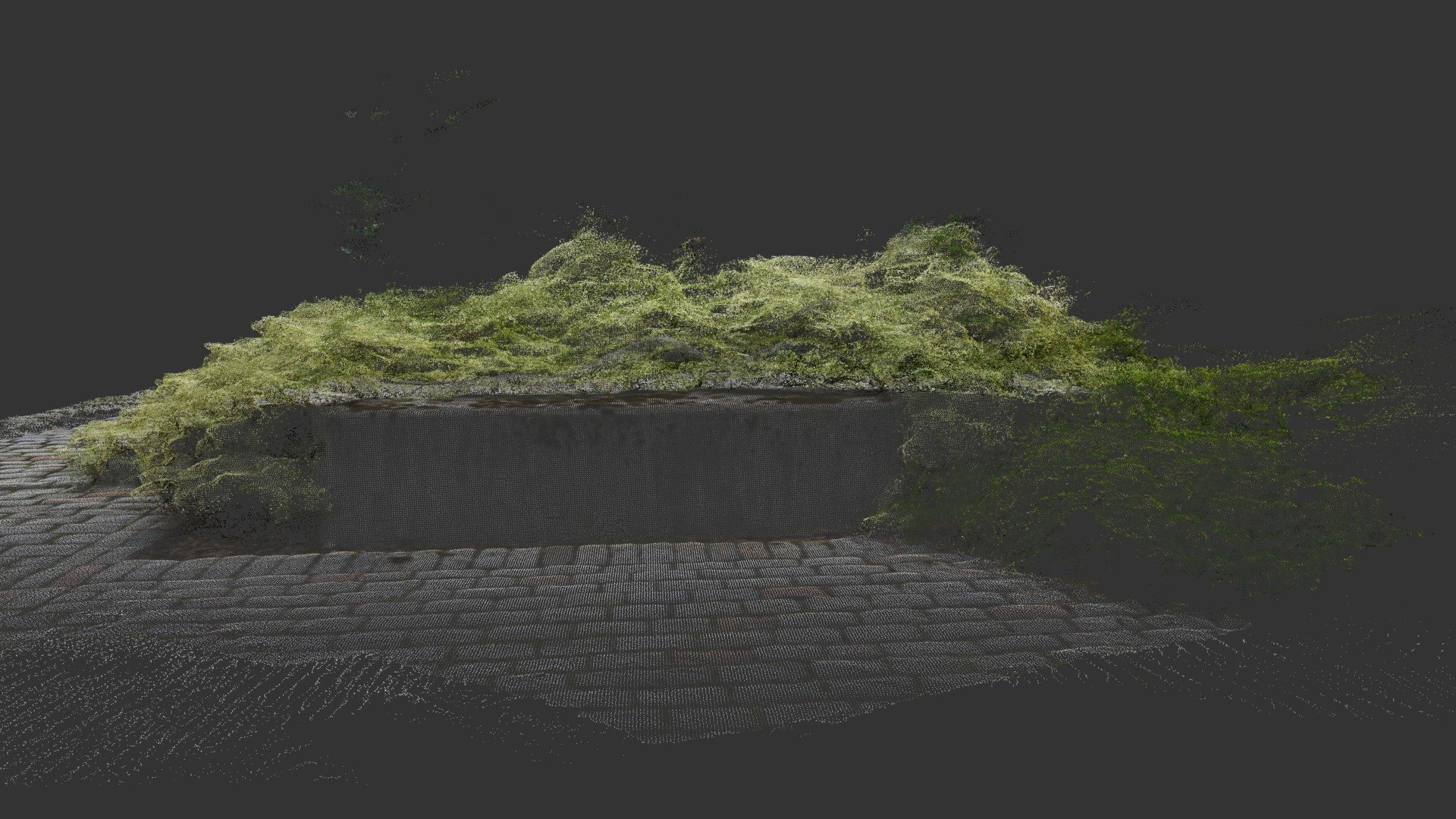 Bush with Sculpture Point Cloud (dense)
