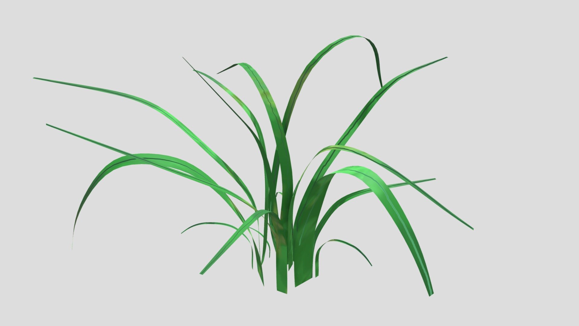 Shrub