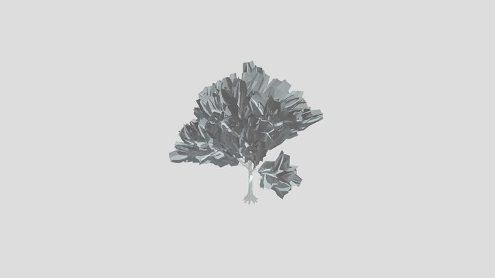 American Beech Tree Variation Low Poly – Modèle 3D gratuit STL