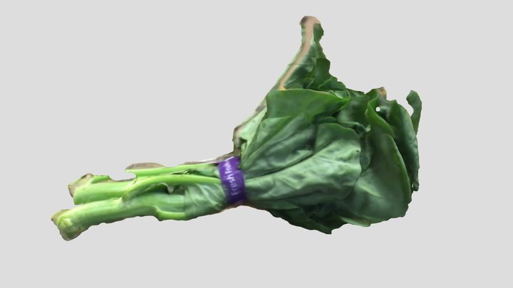 Vegetable 3D Model