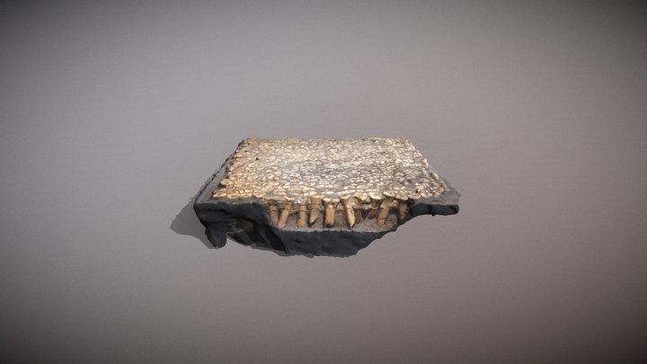 Bone Pavement 3D Model