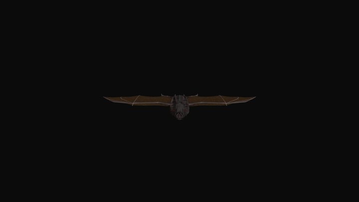 Vampire Bat 3D Model