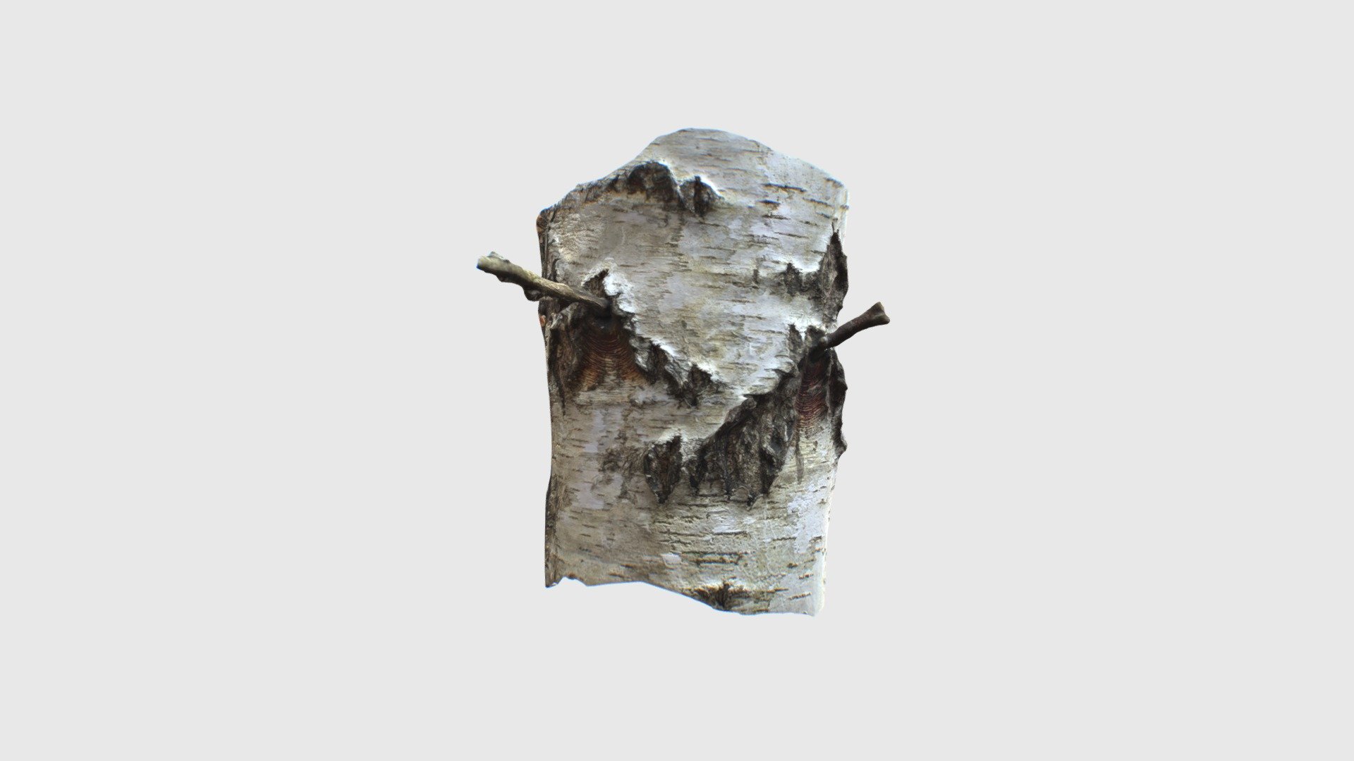 Birch2203250846