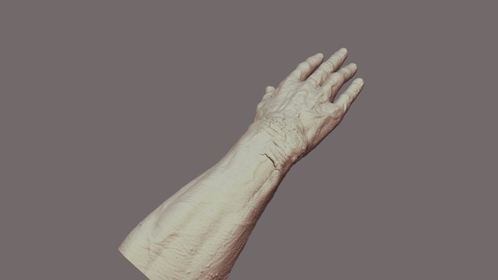 Man Hand with scars from shackles 3D Model