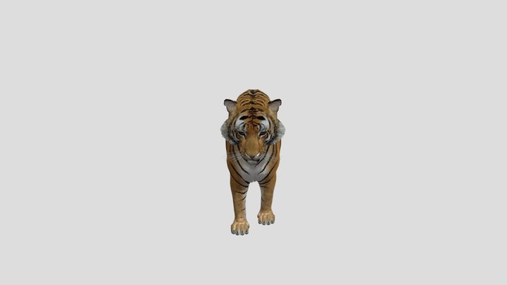 Untitled 3D Model