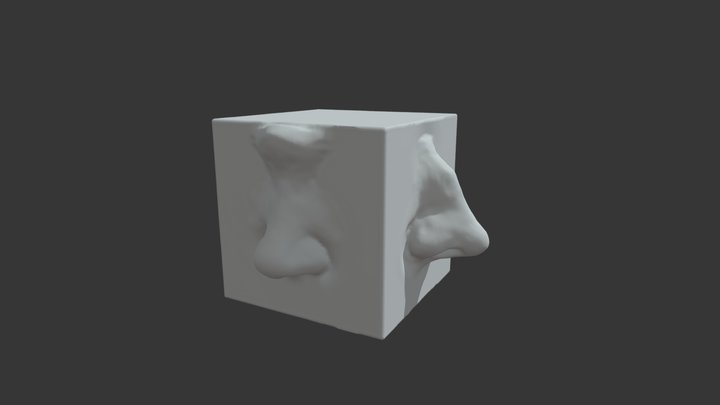 Nose Cube 3D Model