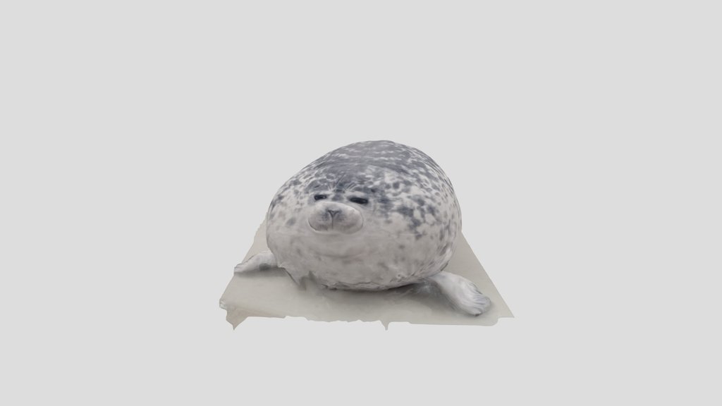 Sealy