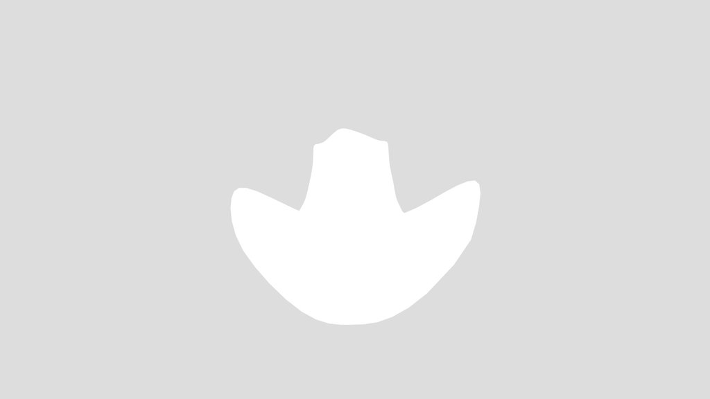 Cowboy Hat