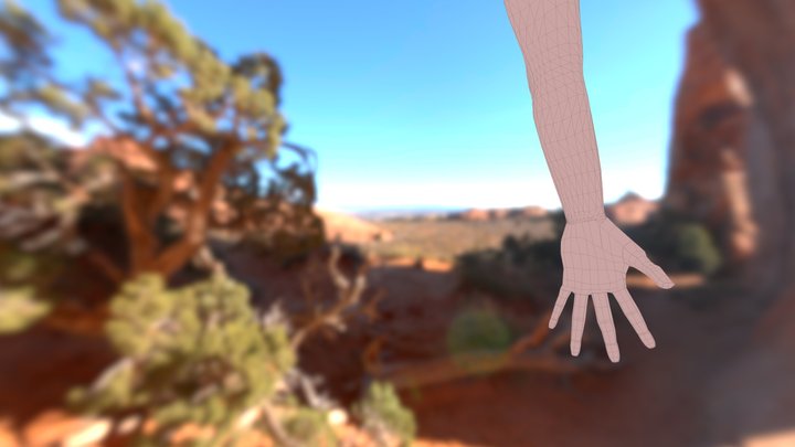 Bras Main 3D Model