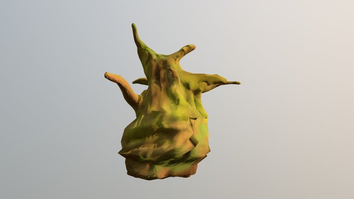 arbol osmar 3D Model