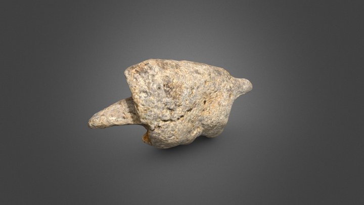 Garra de perezoso terrestre 3D Model