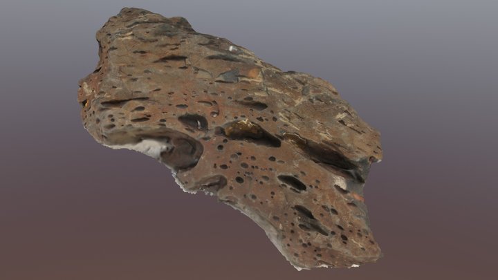 Igneous Rock Lab 07 3D Model
