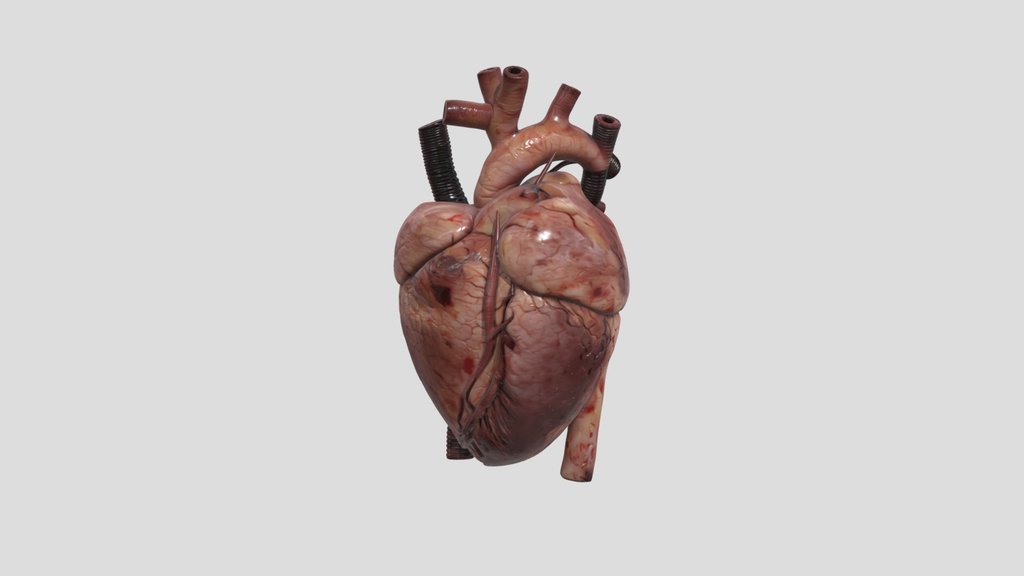Rabbit Heart