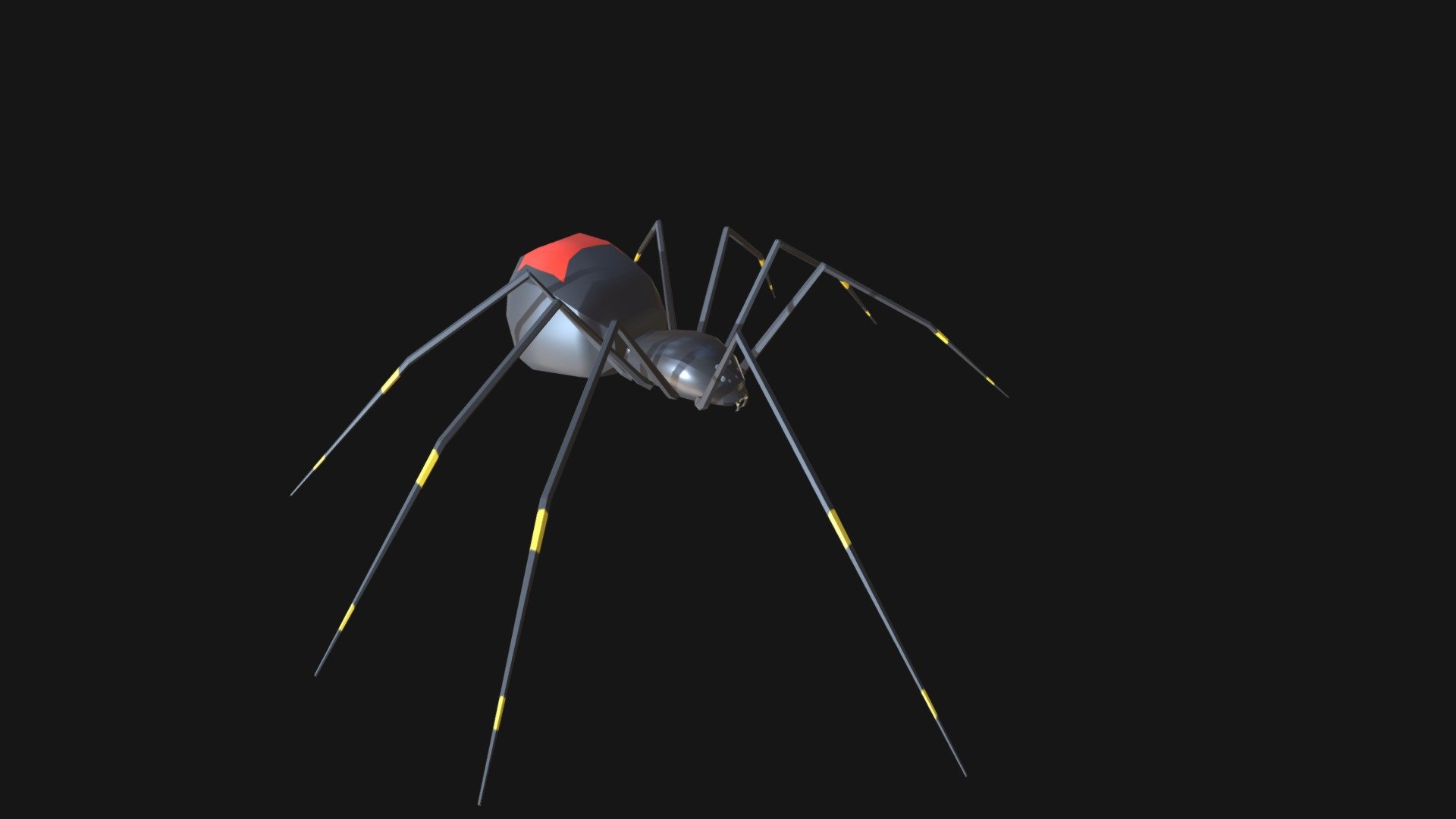 Black widow spider