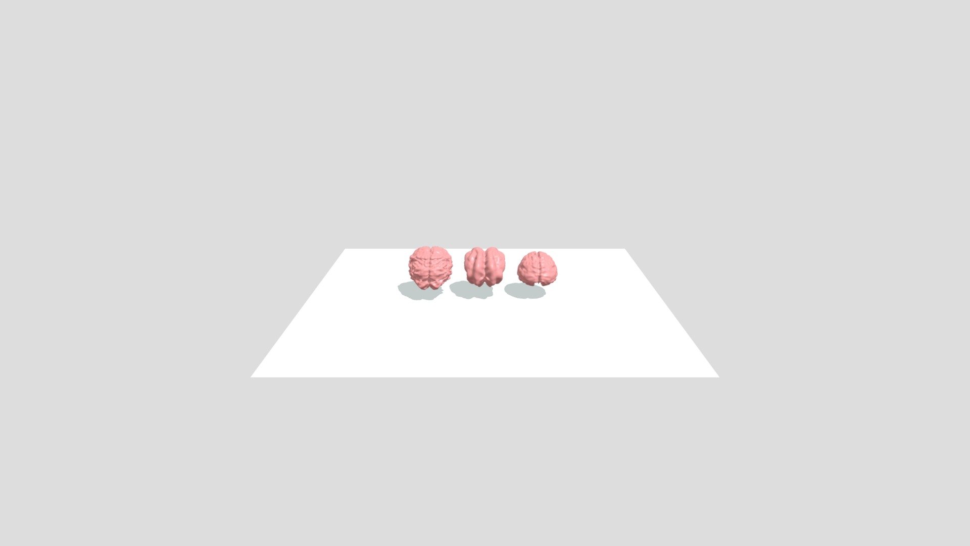 Low poly brain pack - 3D model by Razor99 [24b05b9] - Sketchfab